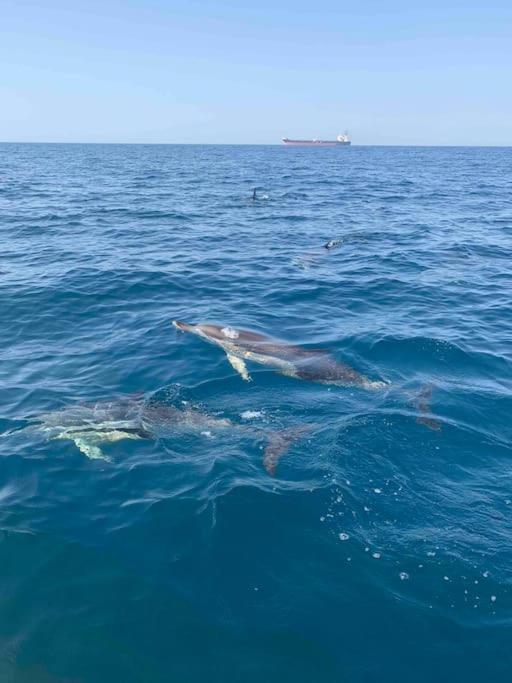 Alto Das Vinhas Lovers - Sesimbra Dış mekan fotoğraf